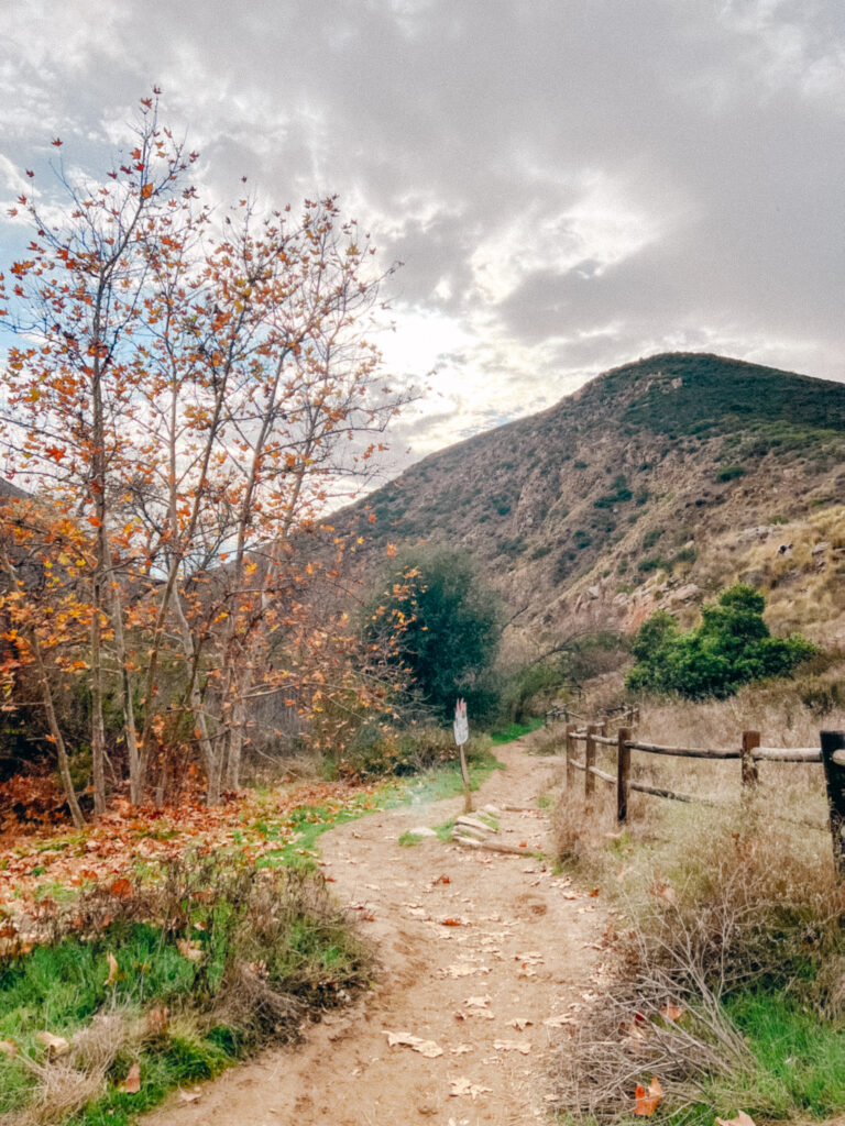 fall photos of walking trail